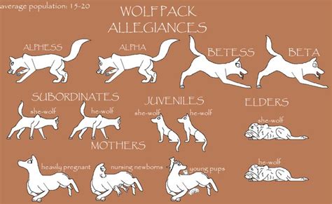 wolf pack ranks